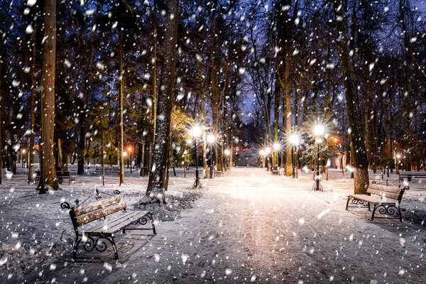 Snowfall in a winter park at night with christmas decorations, lights and pavement covered with snow. Falling snow.