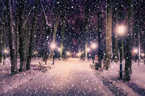 공원의 크리스마스 도로에 눈으로 떨어지는 — 스톡 사진