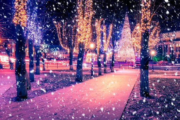 크리스마스 노면에 나무로 포장도로 공원에 — 스톡 사진