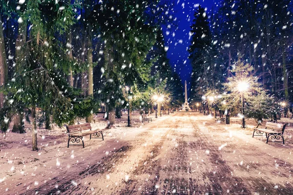 Floresta Neve Parque Inverno Noite Com Decorações Natal Luzes Pavimento — Fotografia de Stock