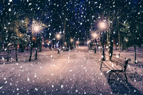 Śnieg Zimowym Parku Nocy Dekoracjami Świątecznymi Światłami Chodnikiem Pokrytym Śniegiem — Zdjęcie stockowe