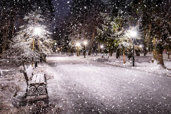 Schneefall Einem Nächtlichen Winterpark Mit Weihnachtsdekoration Lichtern Und Schneebedecktem Bürgersteig — Stockfoto