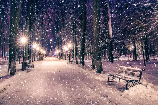 Schneefall Einem Nächtlichen Winterpark Mit Weihnachtsdekoration Lichtern Und Schneebedecktem Bürgersteig — Stockfoto