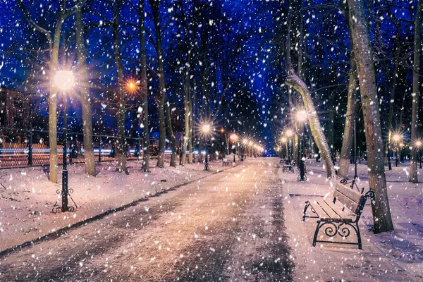 Snowfall Winter Park Night Christmas Decorations Lights Pavement Covered Snow — Stock Photo, Image