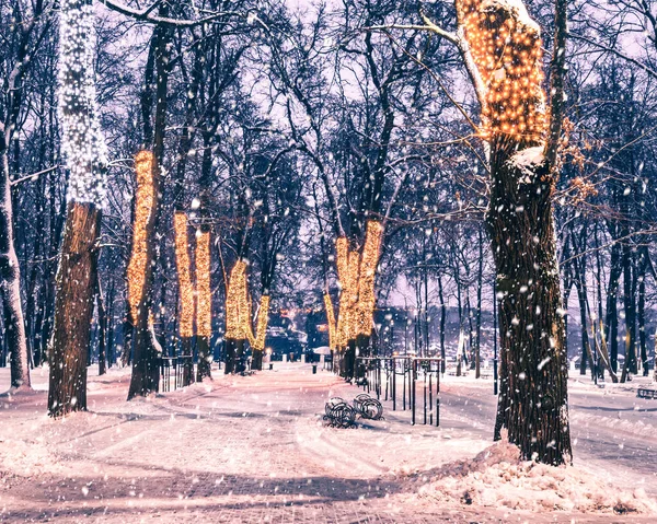 Sneeuwval Een Winterpark Nachts Met Kerstversiering Verlichting Bestrating Bedekt Met — Stockfoto