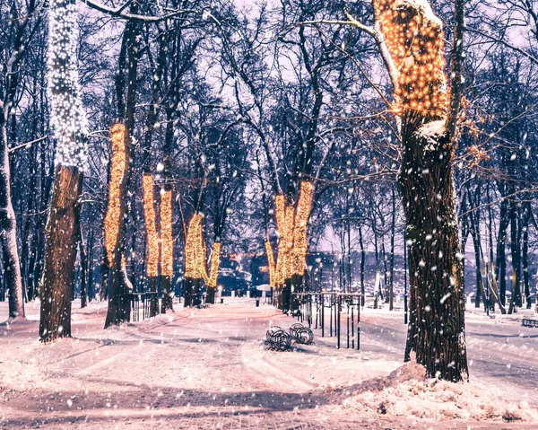 Snowfall Winter Park Night Christmas Decorations Lights Pavement Covered Snow — Stock Photo, Image