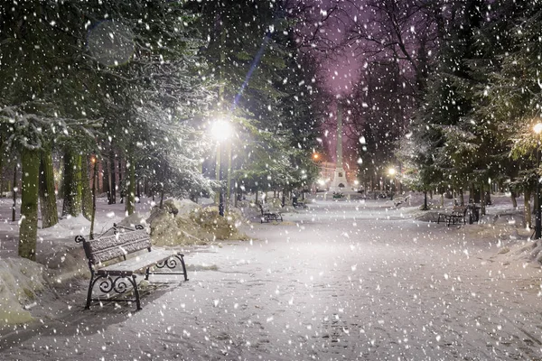 Nieve Parque Invierno Por Noche Con Decoraciones Navideñas Luces Pavimento —  Fotos de Stock