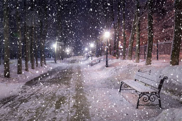 Chute Neige Dans Parc Hiver Nuit Avec Décorations Noël Lumières — Photo