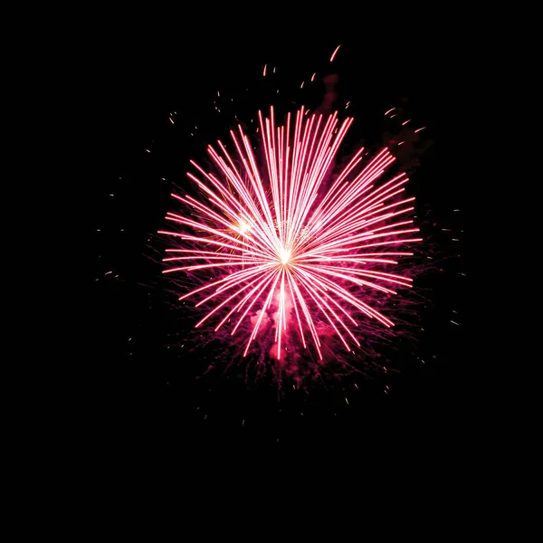 Colorful Fireworks Isolated Black Sky Background — Stock Photo, Image