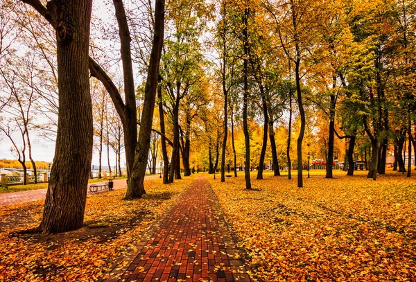 Golden Autumn City Park Trees Fallen Yellow Leaves Cloudy Day — Stock Photo, Image