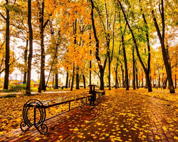 Goldener Herbst Einem Stadtpark Mit Bäumen Und Umgefallenen Gelben Blättern — Stockfoto