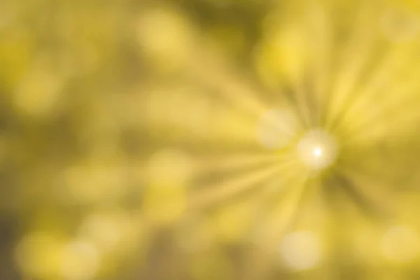 Imagen Borrosa Fondo Bokeh Follaje Amarillo Brillante Rayos Sol Otoño — Foto de Stock