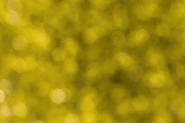 Wazig Bokeh Achtergrond Afbeelding Van Helder Geel Gebladerte Gouden Herfst — Stockfoto