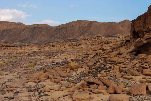 Desierto alrededor de Dahab — Foto de Stock