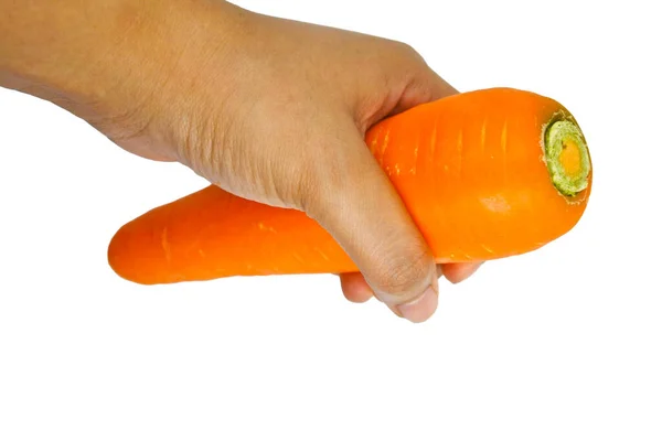 Mão Segurando Cenoura Fresca Fundo Branco — Fotografia de Stock