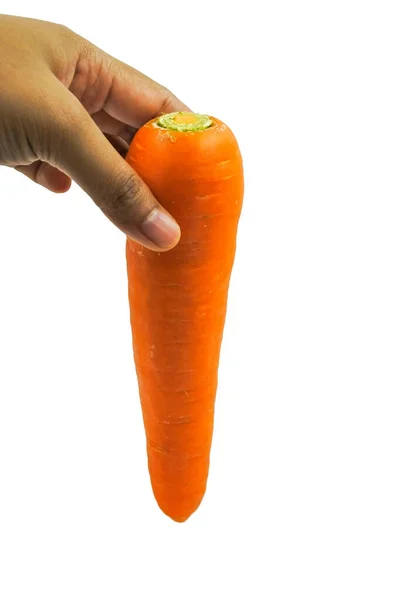 Hand Pickup Carrots White Background — Stock Photo, Image