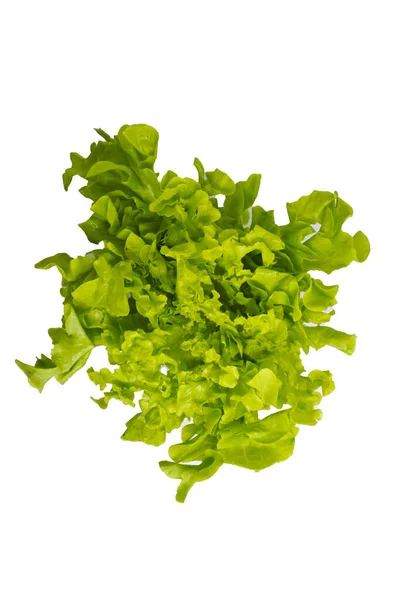 Zöld Tölgy Vagy Saláta Főzés Saláták Felső Nézet Fehér Backgr — Stock Fotó