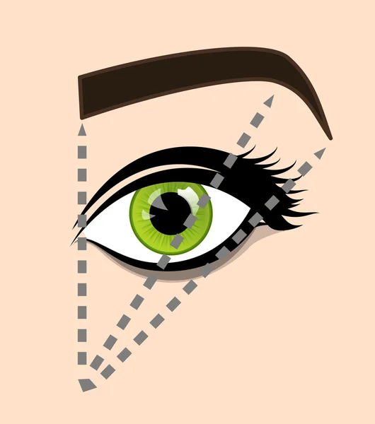 Le schéma des proportions idéales sourcils et les yeux. Tutoriel comment façonner le sourcil sur le visage. Manuel pour façonner les sourcils. Illustration vectorielle — Image vectorielle