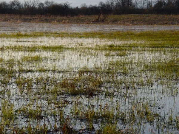  Nehir taşkını. Bahar. Rusya 'nın Merkezi.