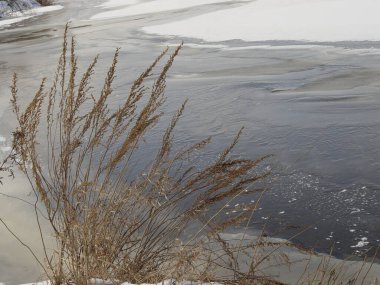 İlkbaharın başlarında, Rusya 'nın merkezinde, buz küçük bir nehirde sürükleniyor.