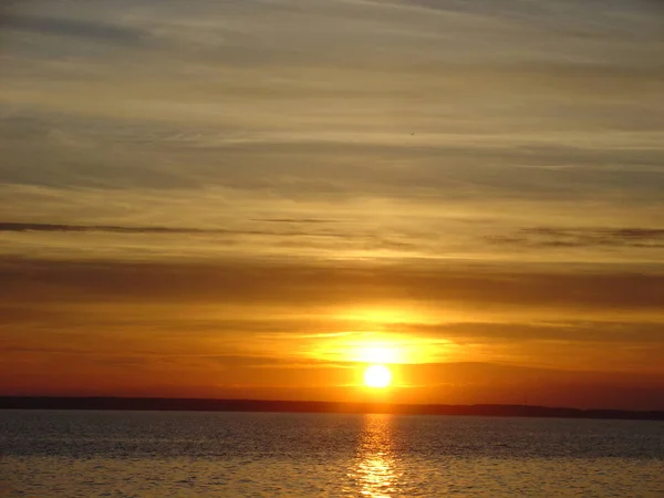 Martı yemek için bir adamın elinden uçarak geldi.