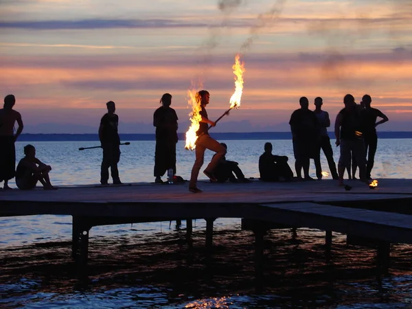 Martı yemek için bir adamın elinden uçarak geldi.