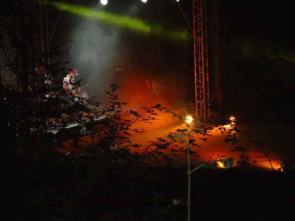 Martı yemek için bir adamın elinden uçarak geldi.