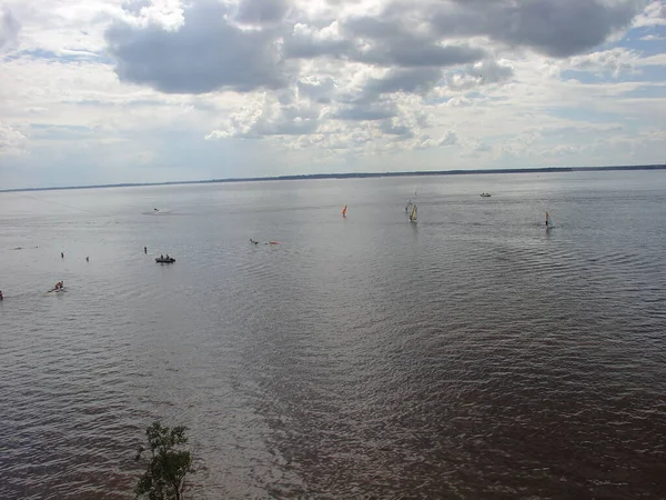 Martı yemek için bir adamın elinden uçarak geldi.