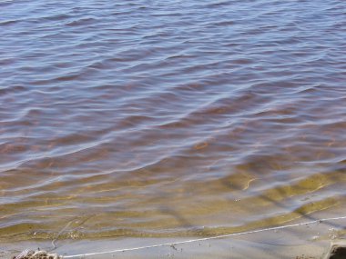 Deniz ve orman kıyıları. Yazın sonu, son sıcak günler