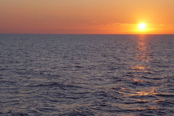 Martı yemek için bir adamın elinden uçarak geldi.