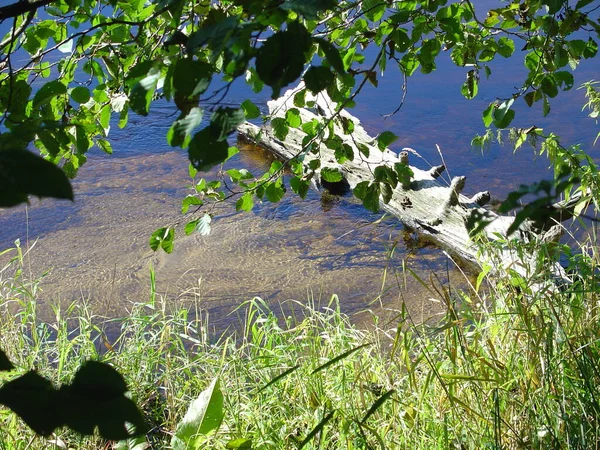 Ηρεμία Καθαρό Νερό Λίμνη Δάσος Στο Κέντρο Της Ρωσίας — Φωτογραφία Αρχείου