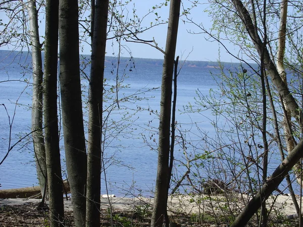 Deniz ve orman kıyıları. Yazın sonu, son sıcak günler