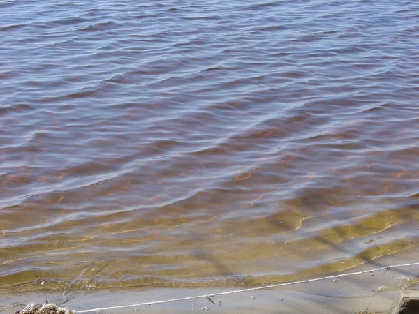 Deniz ve orman kıyıları. Yazın sonu, son sıcak günler