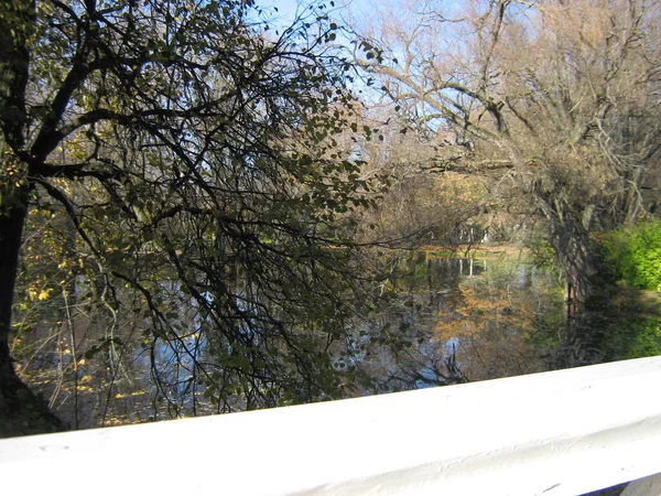 Manzara ve Rus parkının nesneleri.