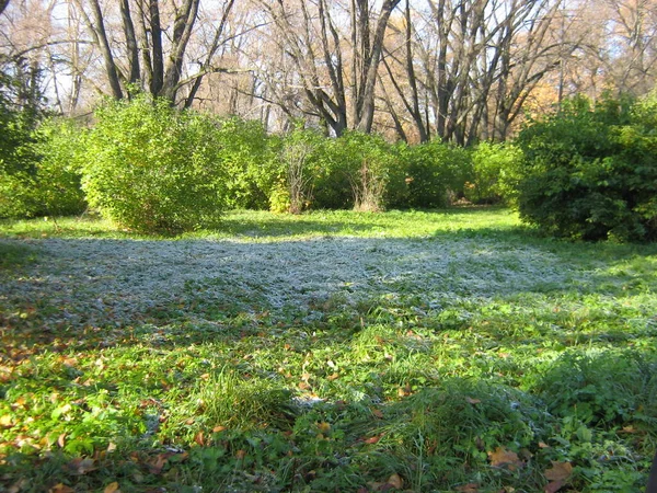 Manzara ve Rus parkının nesneleri.