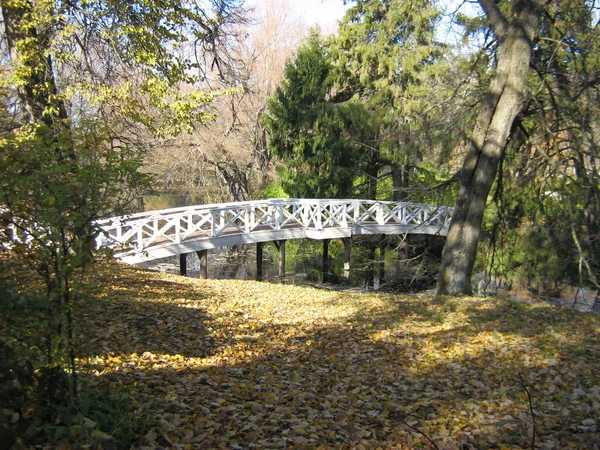 Manzara ve Rus parkının nesneleri.