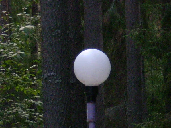 Manzara ve Rus parkının nesneleri.