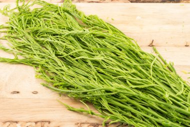 Akasya pennata tahtaya kapat