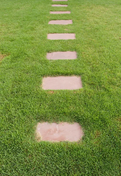 Stone walkway on the green grass Stock Image