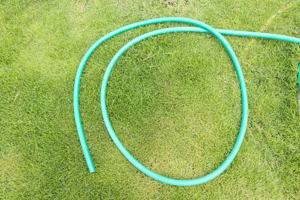 Green garden hose on green grass