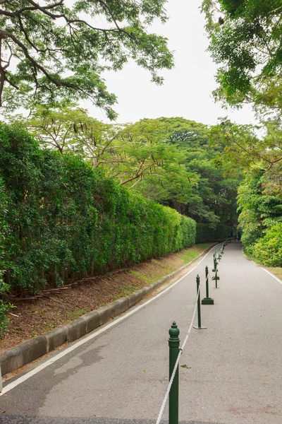 Parkta yürüyüş yolu