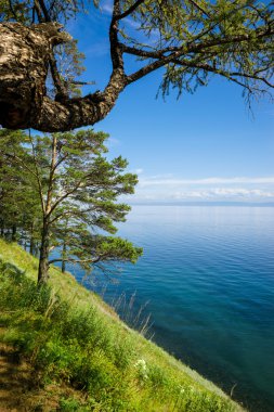 Baykal Gölü kıyısında