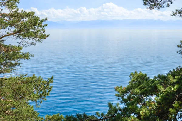 Baikal lake door de bomen — Stockfoto