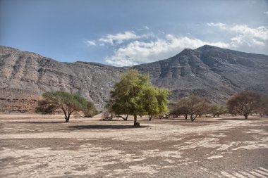 Muhteşem dağ manzarası Musandam Yarımadası'nda, Umman