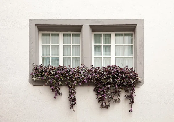 Hermosas ventanas en una casa tradicional en Suiza — Foto de Stock