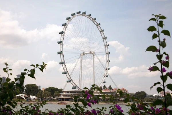 Vedute della ruota di Singapore — Foto Stock