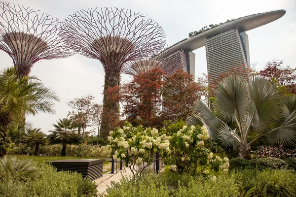Vista panoramica sui giardini botanici di Singapore — Foto Stock