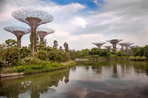 Vista panoramica sui giardini botanici di Singapore — Foto Stock