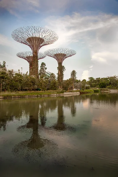 Vistas panorámicas de los jardines botánicos de Singapur — Foto de Stock