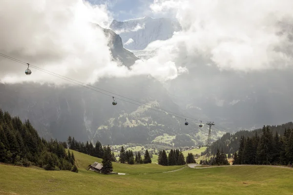 Picos de montaña, hierba verde y arroyos de agua en Grindelwald, Suiza — Foto de Stock